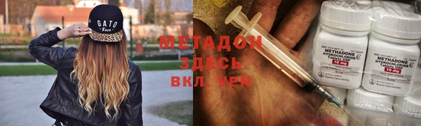 индика Белокуриха