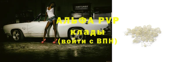 индика Белокуриха
