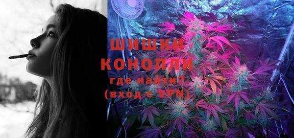индика Белокуриха
