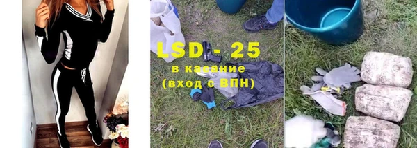 индика Белокуриха