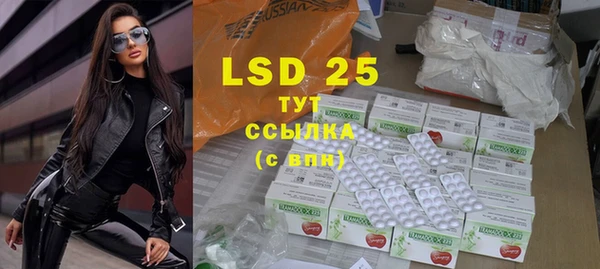 индика Белокуриха