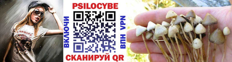 Псилоцибиновые грибы Psilocybine cubensis  Воронеж 